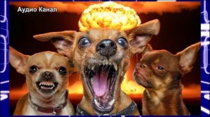 Эстония предложила НАТО отработать применения ядерного оружия у границ РФ