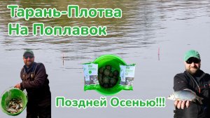 Ловля Плотвы-Тарани на Поплавок / Рыбалка Поздней Осенью / Прикормка для Плотвы(Тарани)
