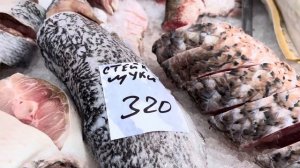 Украина 26 ноября! Что в Киеве сегодня!