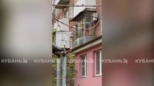 Появилось видео момента нападения бродячей собаки на школьника в Краснодаре