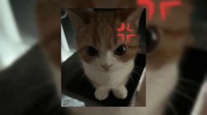 (🎲) speed up плейлист крутых песен