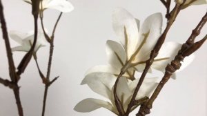 Декоративная ветка ВЕСЕННЕЕ ЦВЕТЕНИЕ, текстиль, белая, 120 см, 1165067