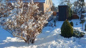 Прошёл обильный снегопад❄️❄️❄️Заснеженная дача.