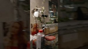 видео  маленький  рассказ оновой  печки  толкостеной из 200 литровой бочки