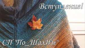 СП "По_Шалим" с Надеждой Пуниной! Вступление!