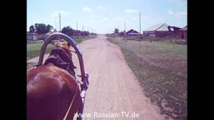 Моя дорогая не блещет красою. Песни под гитару.