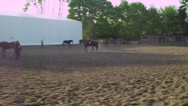 Тренировка верховых лошадей смотреть онлайн