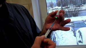 30 ноября - Всемирный день домашних животных