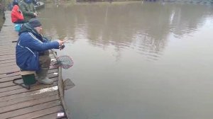 Белый доширак