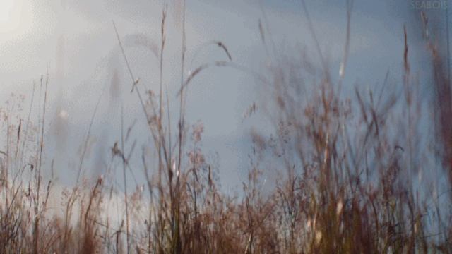 Уснула тишина. (стих в прозе)