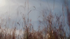 Уснула тишина. (стих в прозе)