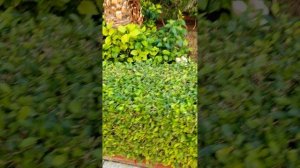 Дорога в отель MimaMark, Хургада