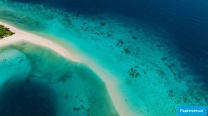 Музыка клипы｜Печальная ведьма