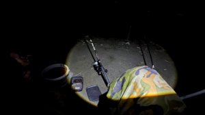 Вечерняя рыбалка на леща 26.11.25.