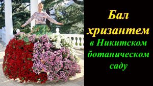 Бал хризантем в Никитском ботаническом саду (2025)