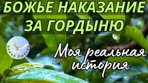 БОГ НАКАЗАЛ МЕНЯ ЗА ГОРДЫНЮ И ВПОСЛЕДСТВИИ БЛАГОСЛОВИЛ ВСЮ МОЮ ЖИЗНЬ. МОЯ РЕАЛЬНАЯ ИСТОРИЯ