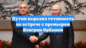 Путин выразил готовность ко встрече с премьером Венгрии Орбаном