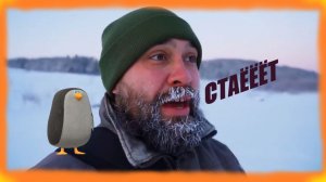 ЗАИМКА НА УРАЛЕ СТАЁТ