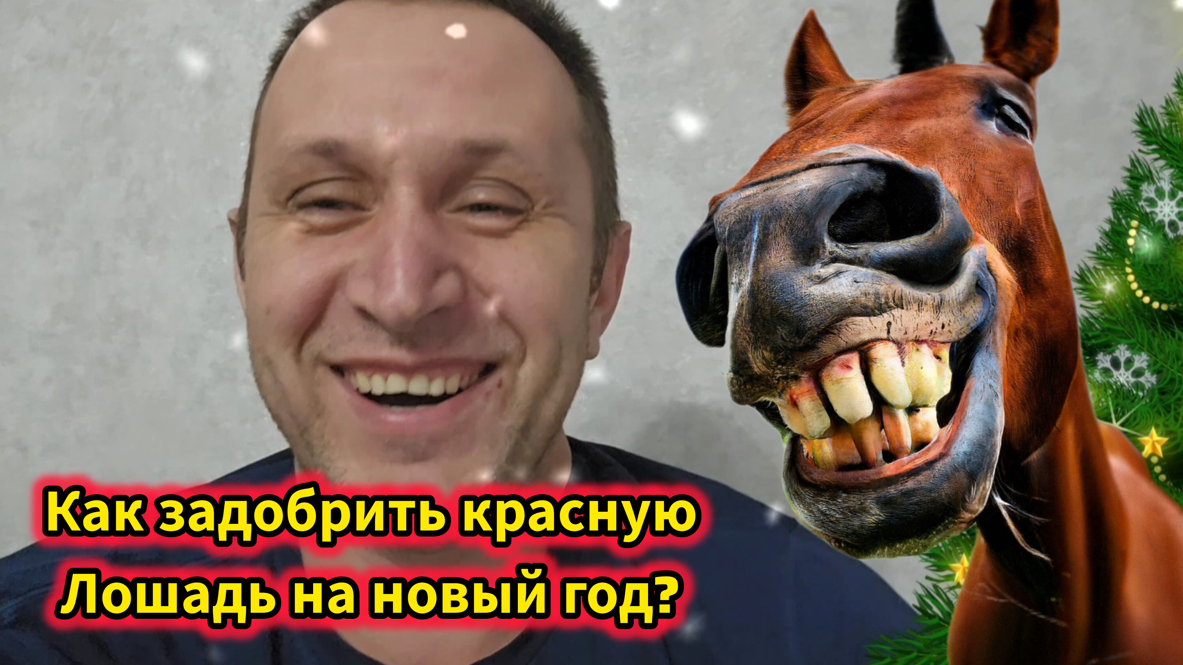 Как встречать новый год лошади 2026