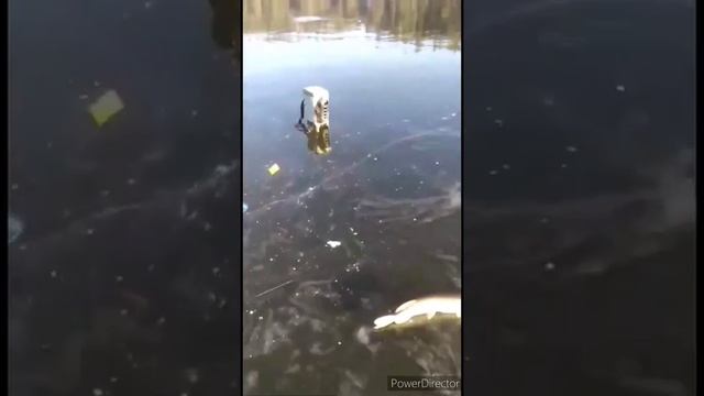 Ловля щук на жерлицы в зимнее время на водохранилище.