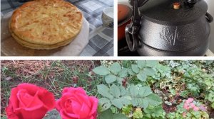 27-11-2025 Печем Осетинские пироги Пробуем варить холодец в афганском казане Покупки