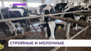 Крестьянско-фермерское хозяйство в Дальнегорском округе показывает впечатляющие результаты
