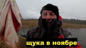 Крупная щука в конце ноября. Воблер для крупной щуки. Ловля при смене погоды.