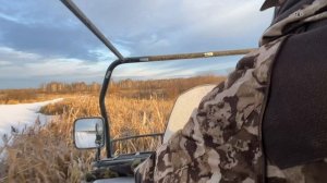 Охота на косулю.