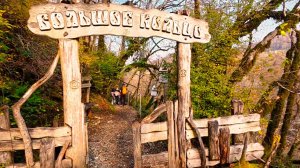 Крутое место в Сочи для пешей прогулки! Тисо-Самшитовая роща. . Кавказский заповедник