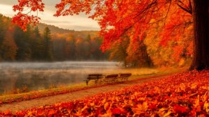 Открытки добрый день, добрым людям! Музыкальная открытка с пожеланием хорошего дня