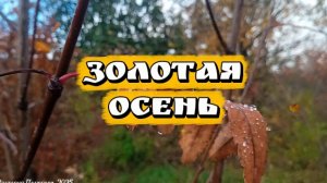 Золотая осень - красивая песня об осени