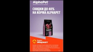 Яндекс - Путь к изобилию и свету начинается с выбора!