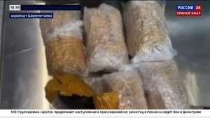 Телеканал «Россия 24», программа «Вести. Дежурная часть», 26.11.2025