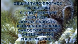 ОБЩИЙ ТАРО-ПРОГНОЗ НА НЕДЕЛЮ С 1 ПО 7 ДЕКАБРЯ 2025 ГОДА