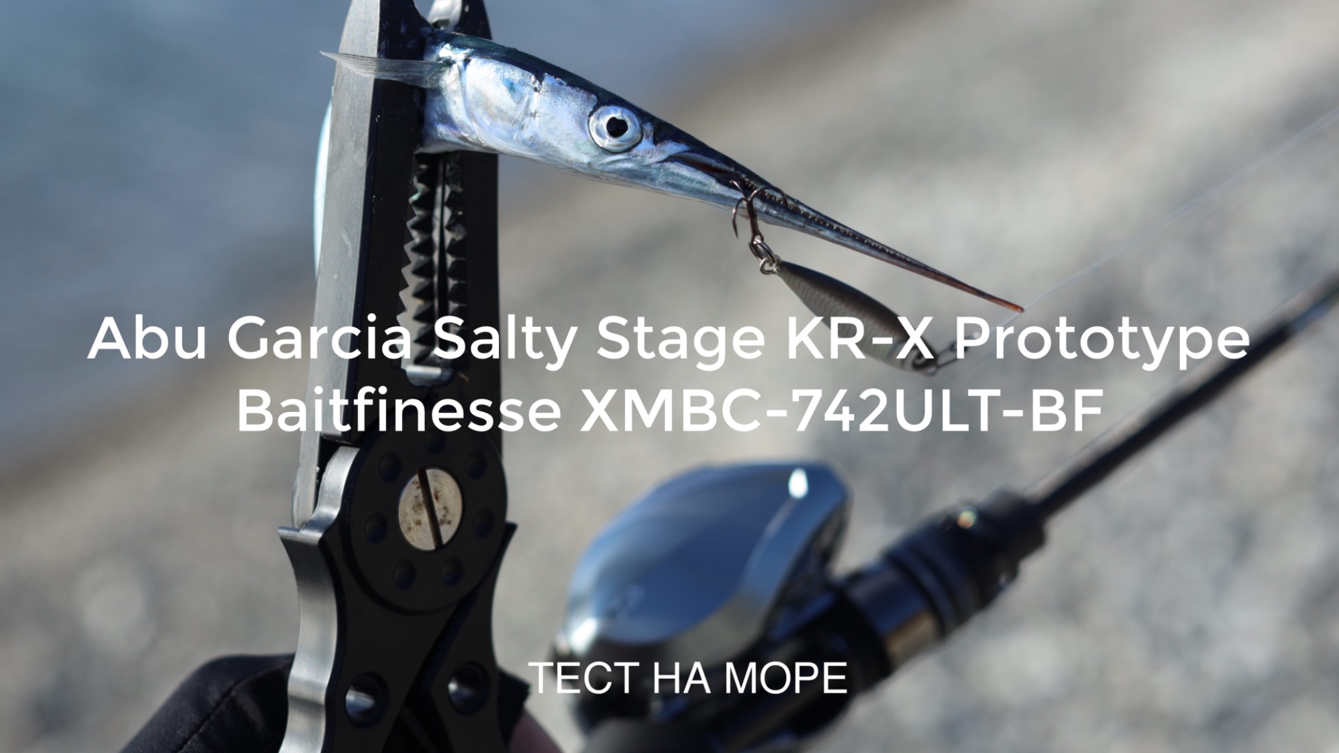 С кастингом на море. Тест Abu Garcia Salty Stage KR-X Prototype Baitfinesse XMBC-742ULT-BF