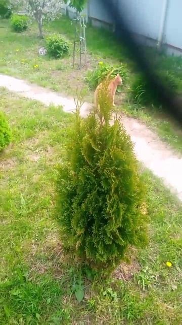 Пока - дожди.Зима нам шепчет:"Скоро жди!"