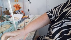 Шарф для тех кто любит читать.