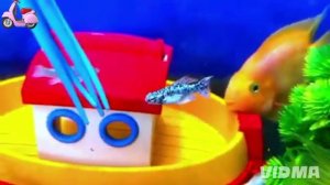 Маленькие рыбки