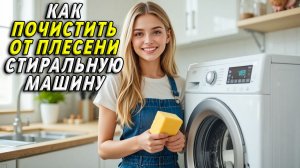 Как почистить стиральную машину от плесени