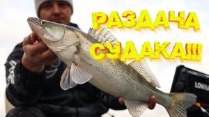 РАЗДАЧА судака на джиг 💪💪💪 Какая ПРИМАНКА лучше ловит?
