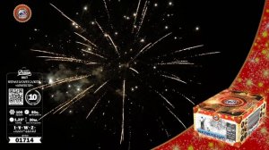 01714 Архитектор