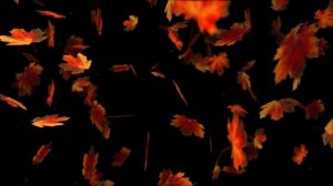 28 ноября - Как изменить судьбу и привлечь удачу_