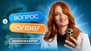 Зоопсихолог отвечает на вопросы подписчиков — разбор частых проблем с поведением