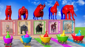 Веселые игры с слоном, гориллой, бегемотом, тигром - 3D-игра с животными - Забавные 3D-животные