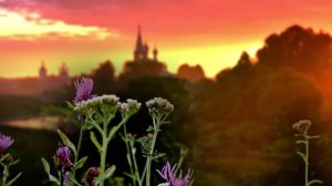 Елена Васильева - Малиновый звон