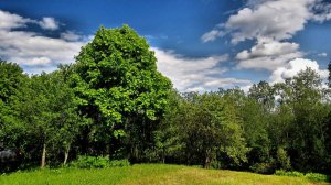 Майское тепло