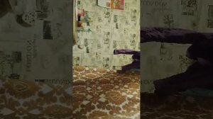 Играем в танки!