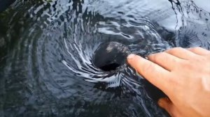 Что такое Центрифуга для золота? И Как она моет золото?А вы знаете?