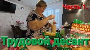 Аналитический обзор от 26 ноября 2025 года. Одна дома...