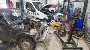 Жесть на СТО или будни автомехаников #275. Гидроудар ДВС Нивы.Audi Q7.Вибро-Веста.Omoda C5.Focus ST.